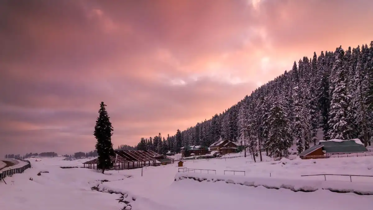 Amazing Kashmir
