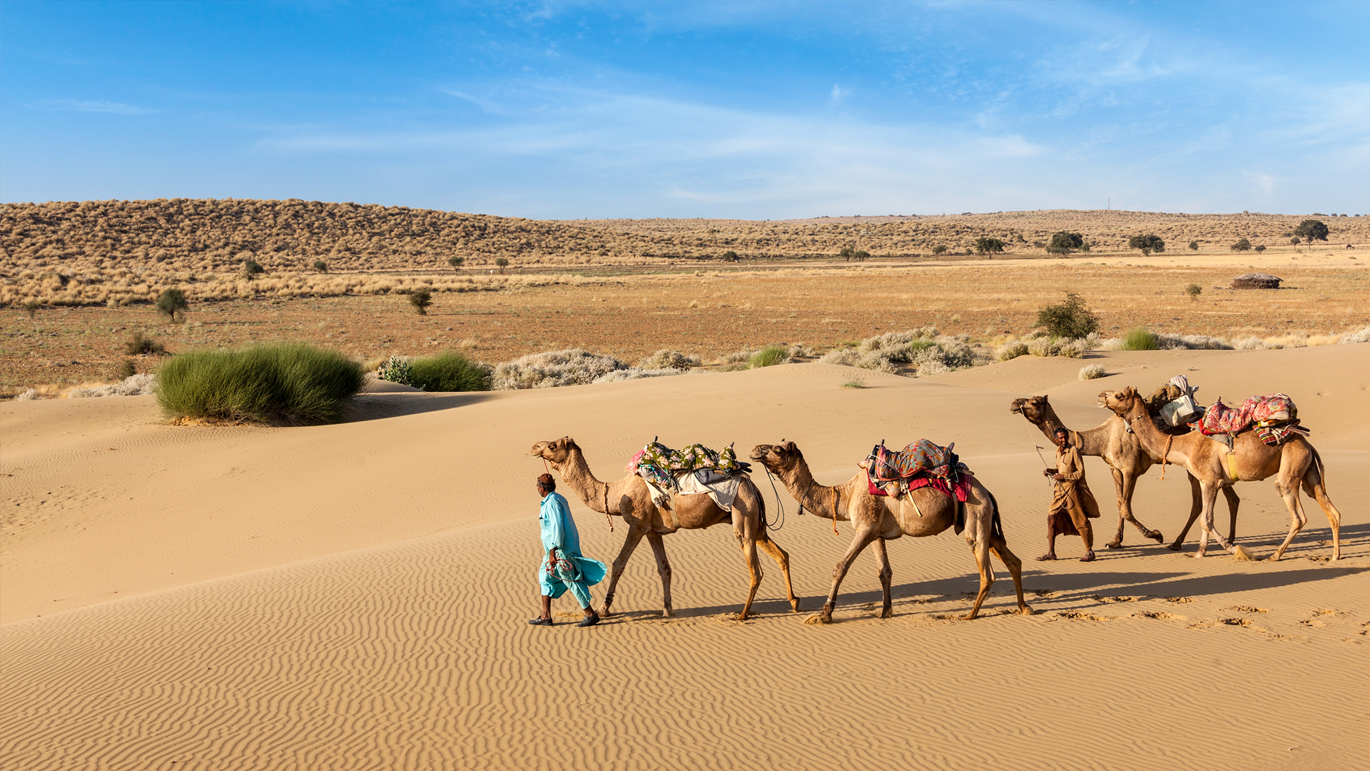 Domestic Tour Packages Rajasthan
