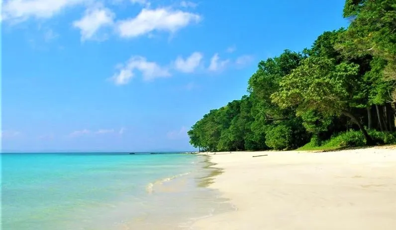 Fascinating Andaman Havelock Island Package
